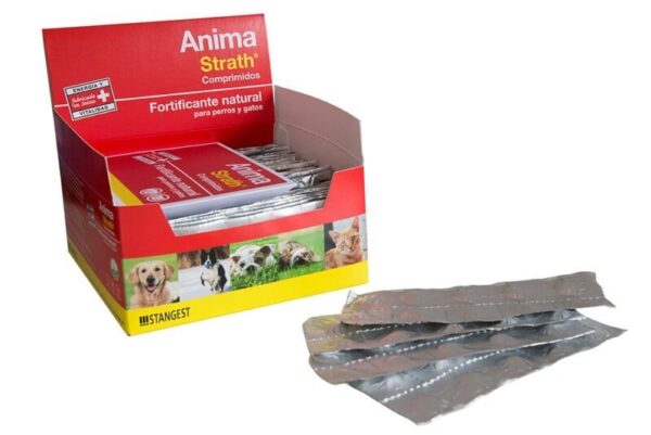 ANIMA STRATH