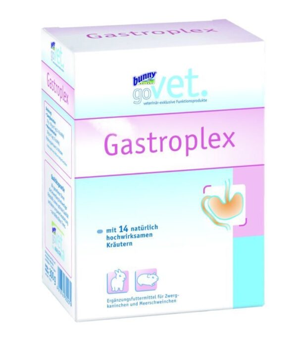 BUNNY GOVET GASTROPLEX