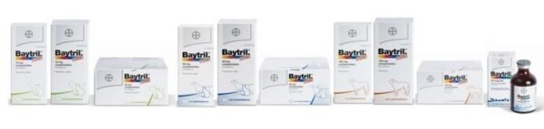 BAYTRIL SABOR