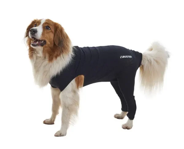 Compra Buster Body Sleeves para Patas Traseras Talla M - Comodidad y Protección
