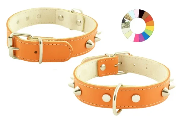 Collar Mountain CO1F Blanco Ajustable 30-36 cm - Resistente y Elegante