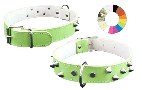 Collar Mountain CO3F MR: Elegancia y Resistencia para Aventureros