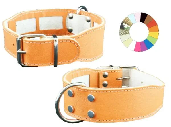 Collar Bull Carrier AZ: Ajustable y Resistente para Perros 35-44 cm