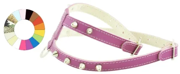 Arnés Little CO1F AM A16: Seguridad y Comodidad para Mascotas de 24-45 cm