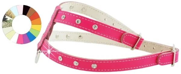 Arnés Little Fant PT A12: Seguridad y Comodidad para Mascotas de 14-30 Libras