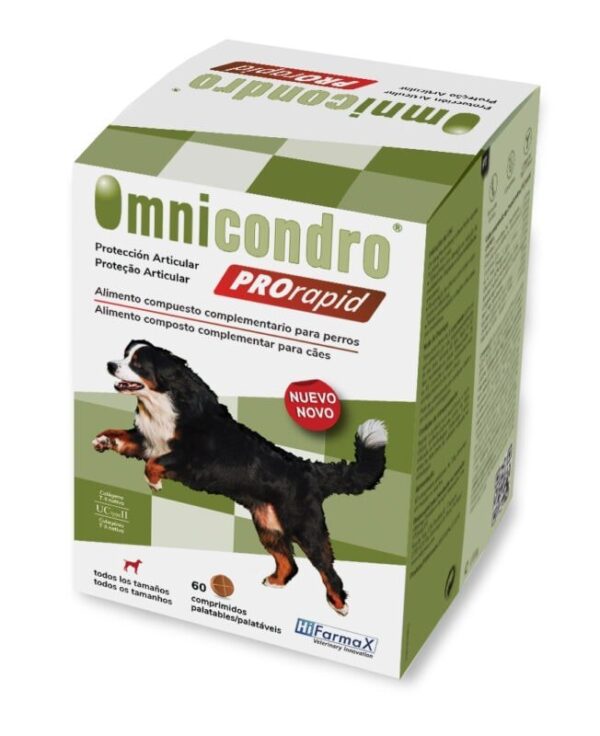 Omnicondro