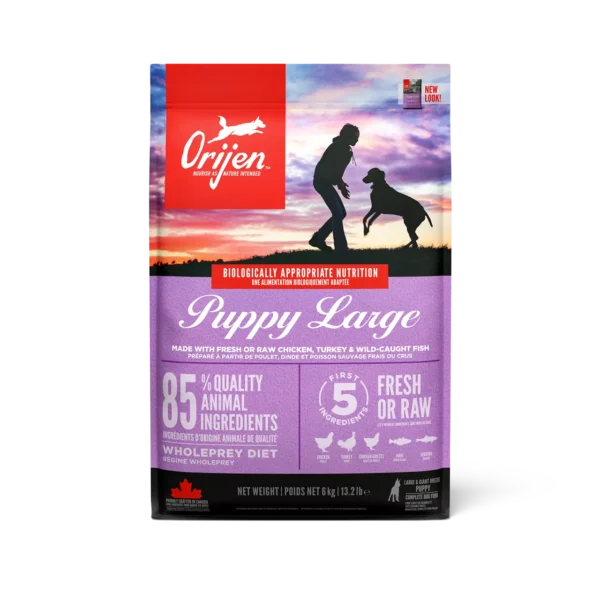 Pienso ORIJEN Puppy Large 6kg: Nutrición Premium para Cachorros Grandes