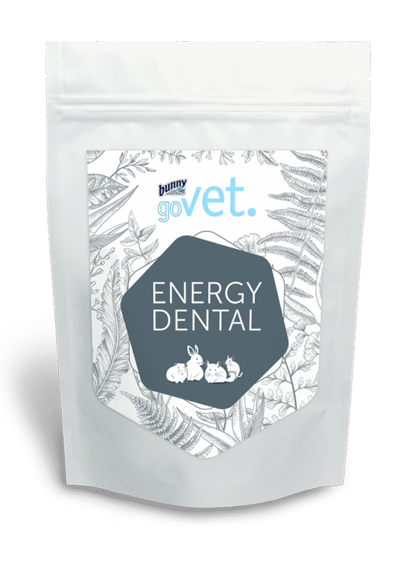 BUNNY GOVET ENERGY DENTAL