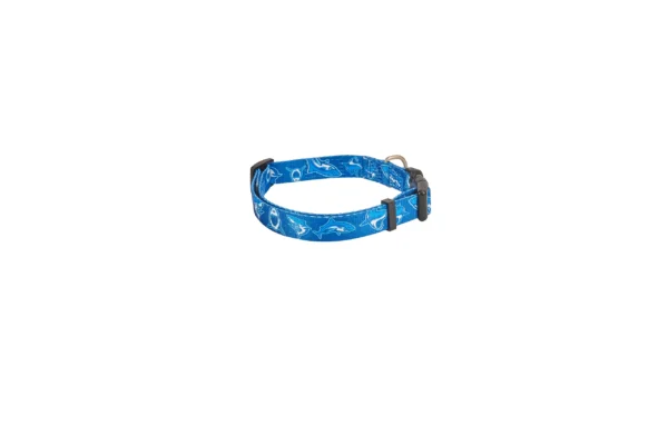 Collar FREEDOG Azul Tiburón 20mm x 20/65cm T-M para Perros - Seguridad y Estilo