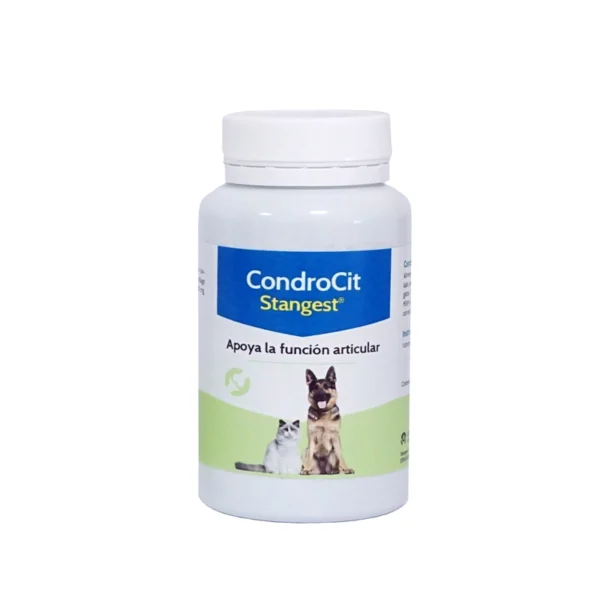 CONDROCIT 60Comprimido