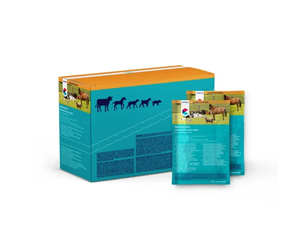 PASTA INTESTINAL EN SOBRES 12X75G COVETRUS
