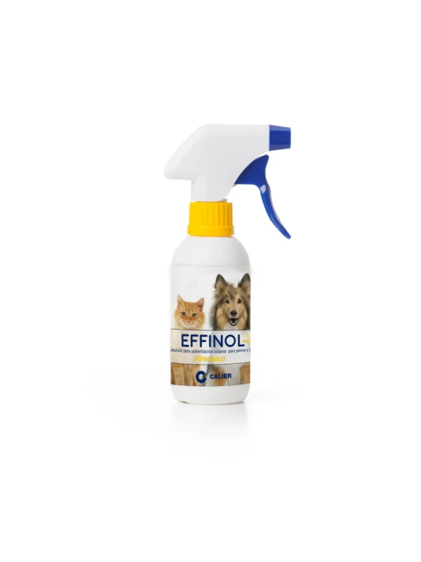 EFFINOL SPRAY 2,5 MG/ML 500 ML