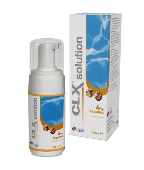 CLOREXYDERM 4% FOAM 100 ML (NDR)