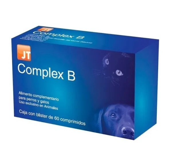 JT COMPLEX B 60 tablečių
