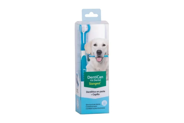 KIT DENTAL CEPILLO+PASTA 100GR