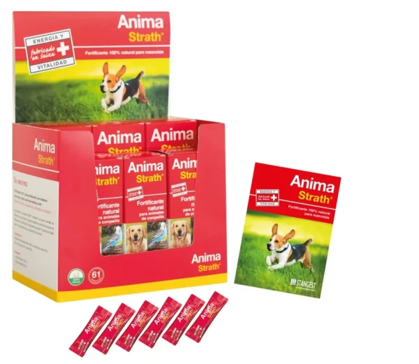 EXPOSITOR ANIMA STRATH