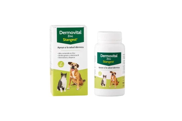 DERMOVITAL ZINC 60Comprimido