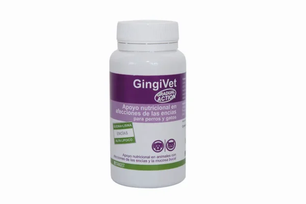 GINGIVET 60Comprimido