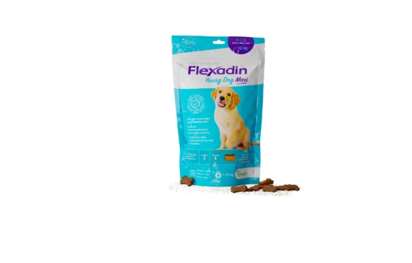 FLEXADIN CACHORRO MAXI 60Comprimido