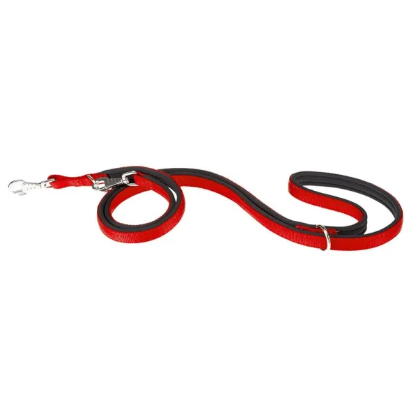 Correa de Nylon Roja FERPLAST Daytona GA20 200: Resistencia y Estilo para tu Mascota
