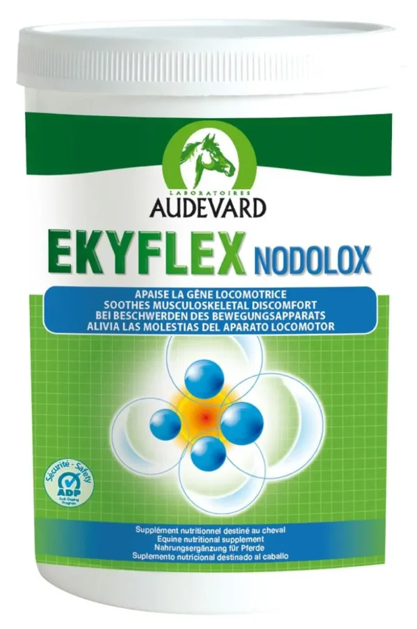 AUDEVARD EKYFLEX NODOLOX 600GR (NDR)