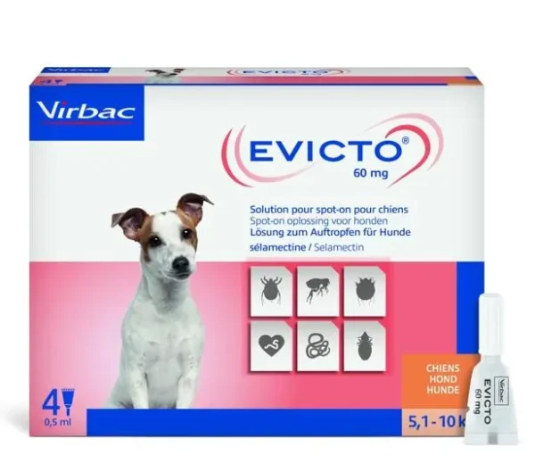 EVICTO SPOT ON PERRO 5,1-10KG 60MG 4PIP