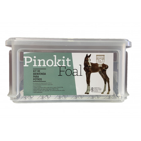 Cinturón elástico de recambio para pulsómetro Polar Equine HR, sin sensor