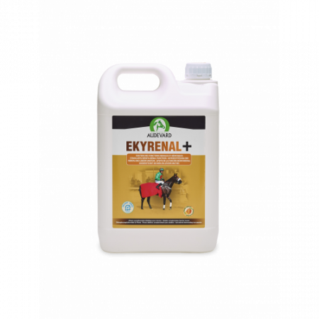 Equisorbi 1 L · protector hepático en solución para caballos