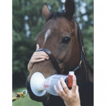 Correas para cámara de nebulización Flexineb E2 · adulto para caballos